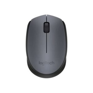 MOUSE LOGITECH M170